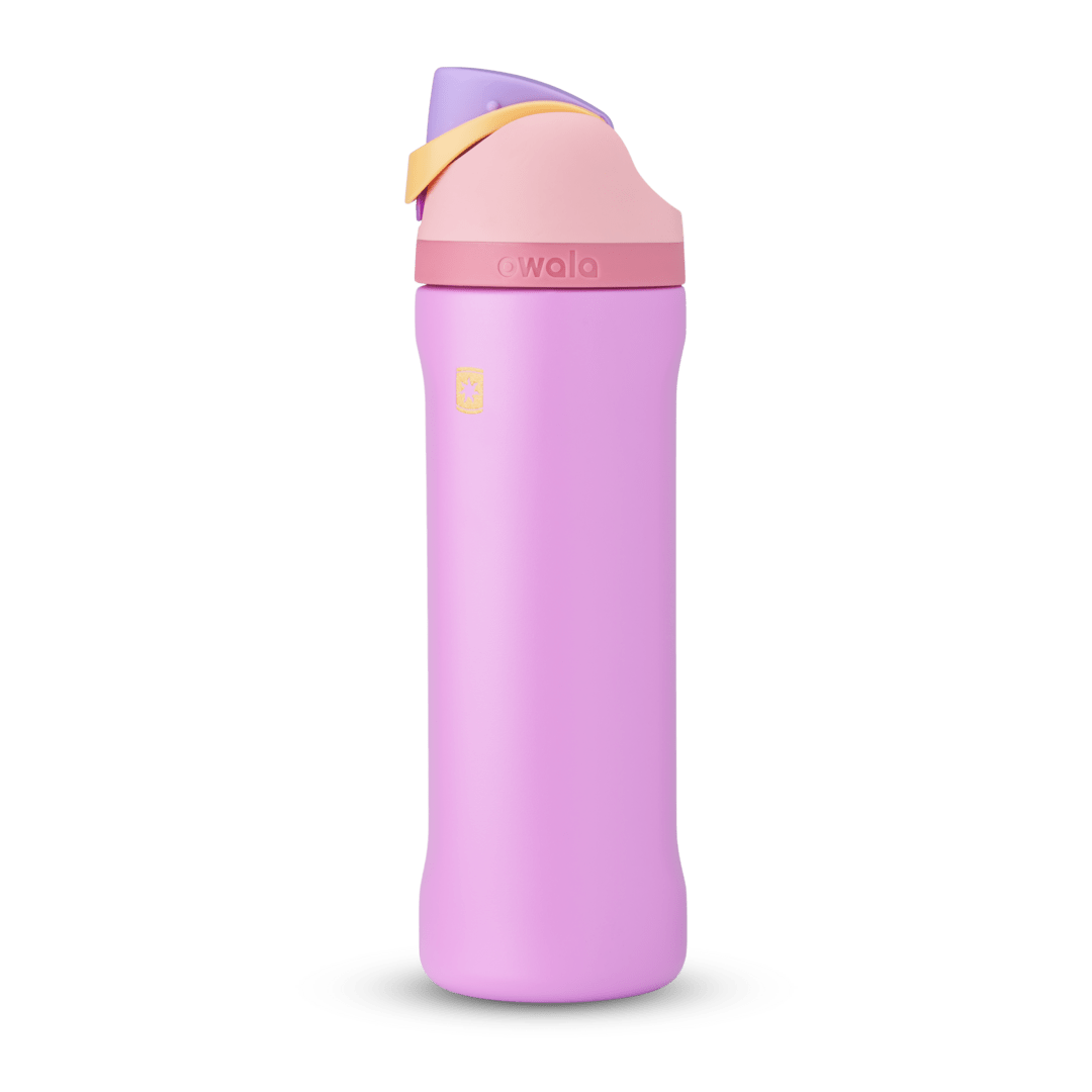 Disney Princess  Collection