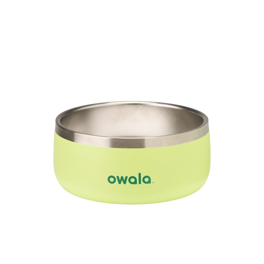Pet  Bowl