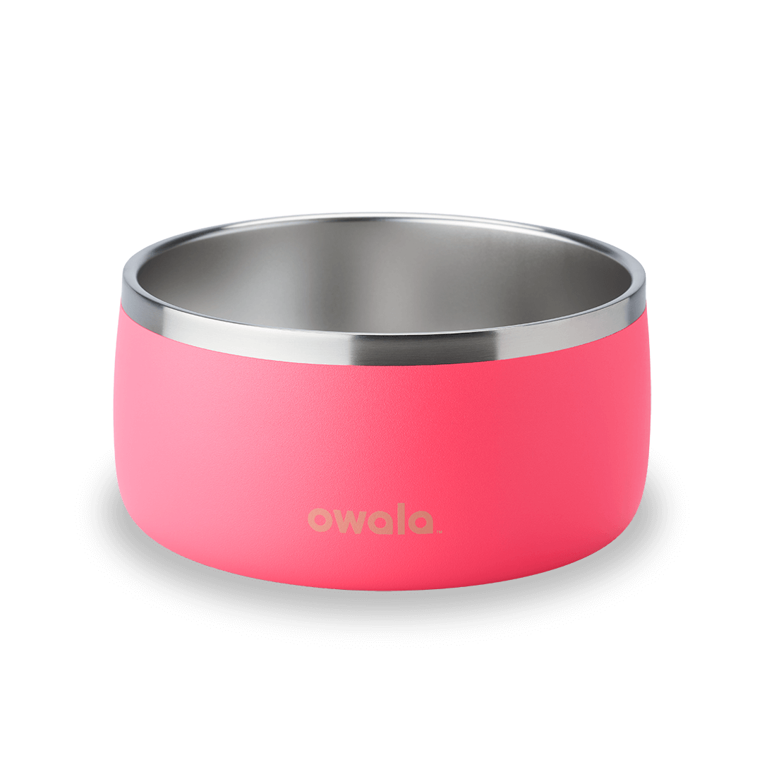 Pet  Bowl