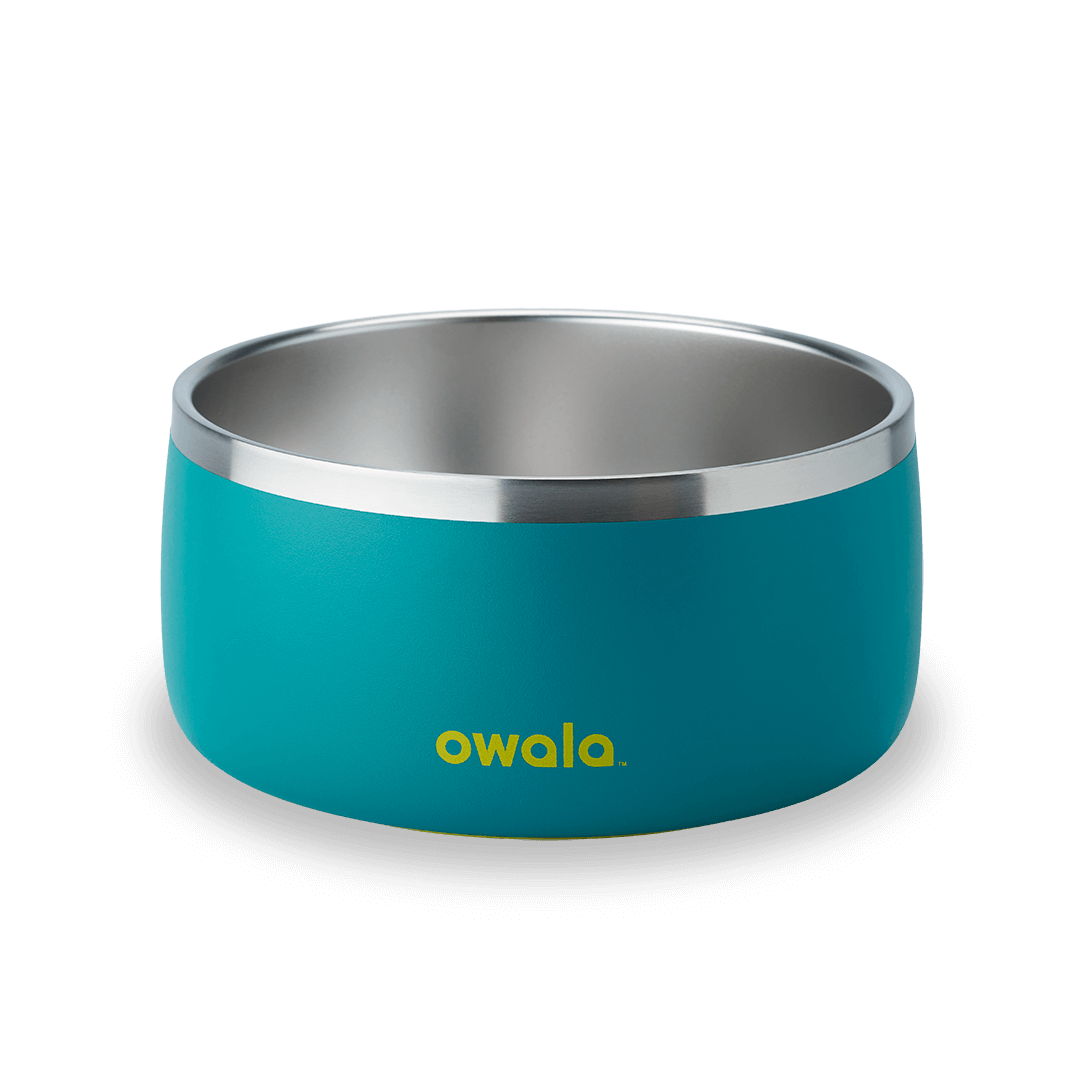 Pet  Bowl