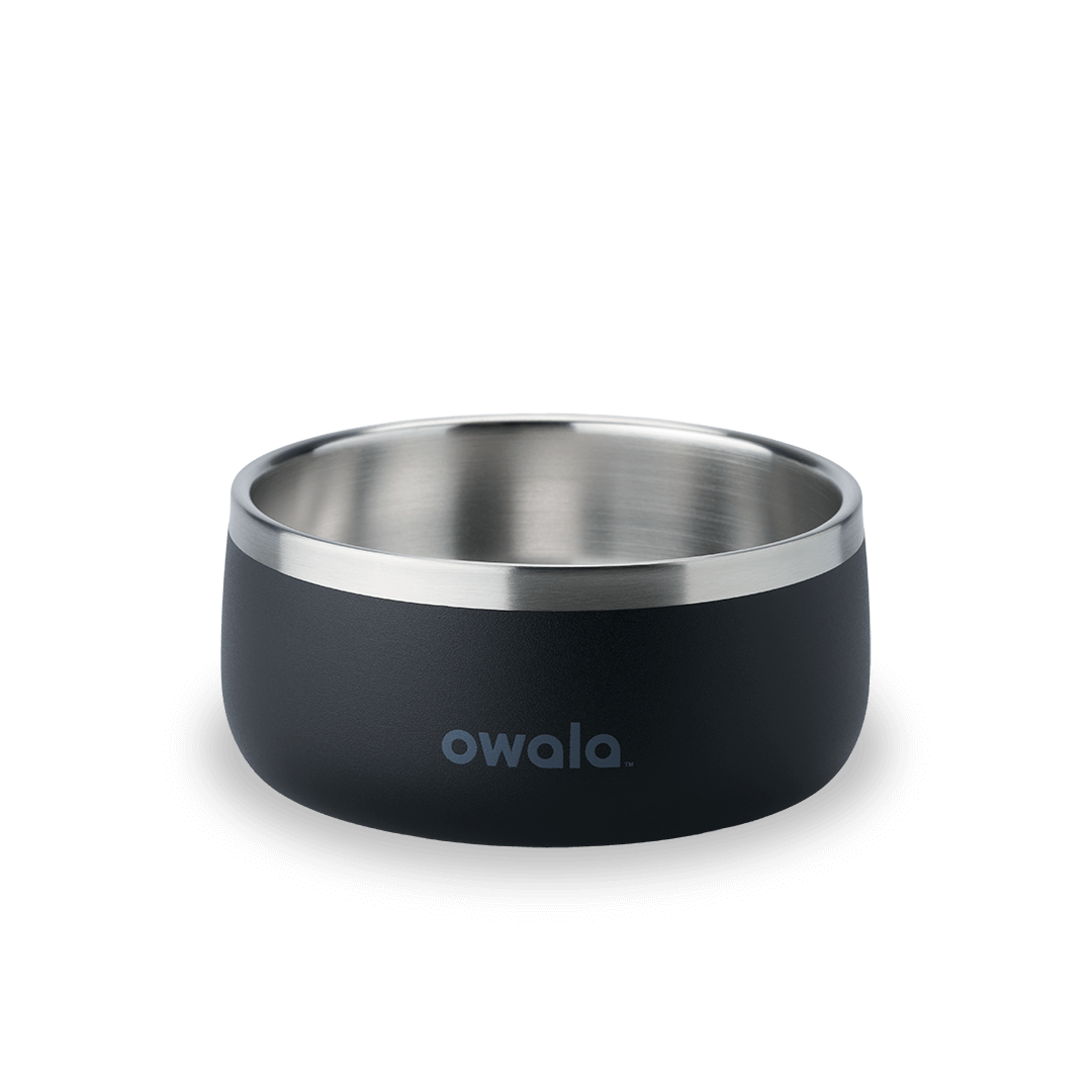 Pet  Bowl