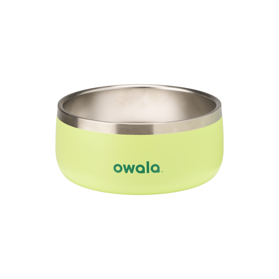 Pet  Bowl