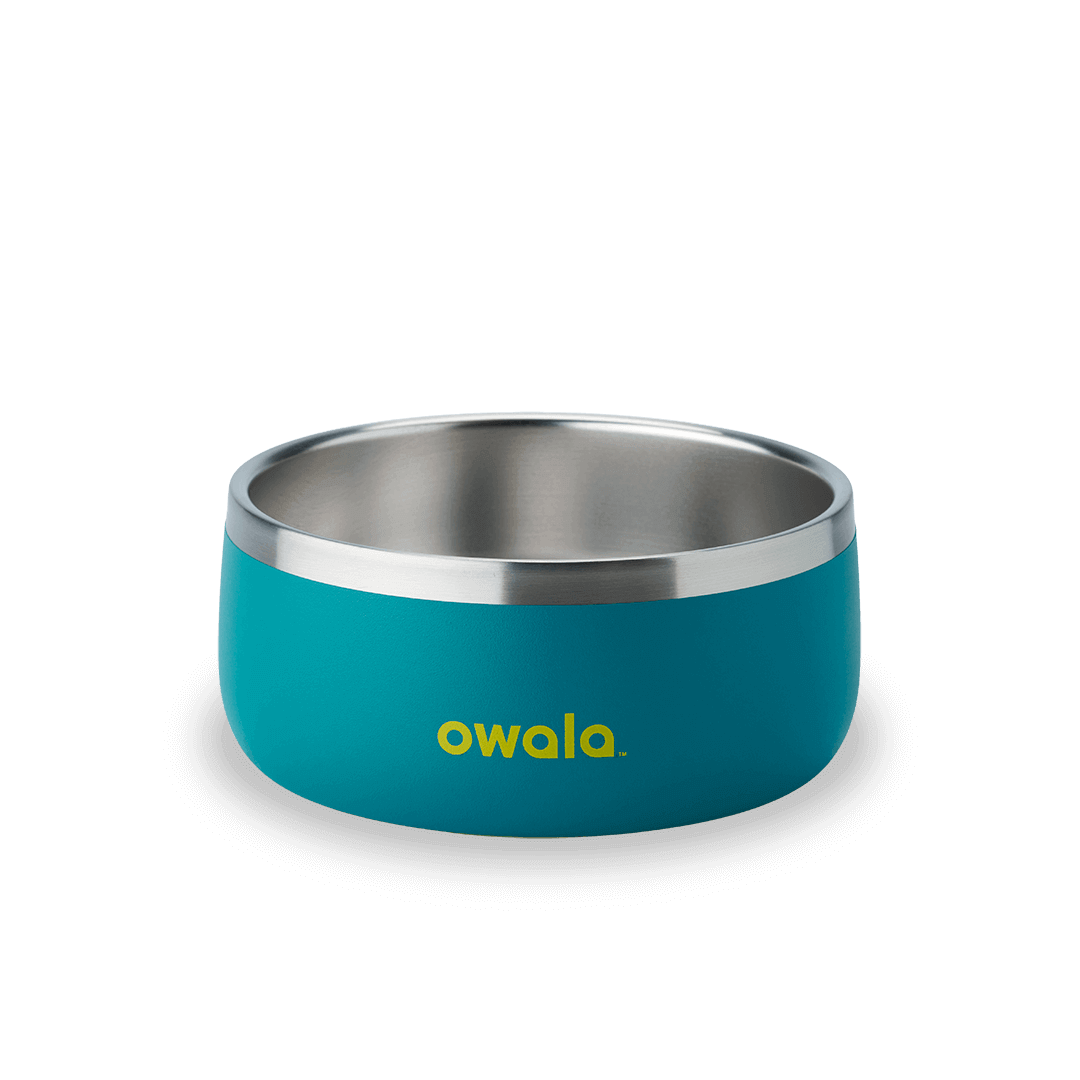 Pet  Bowl