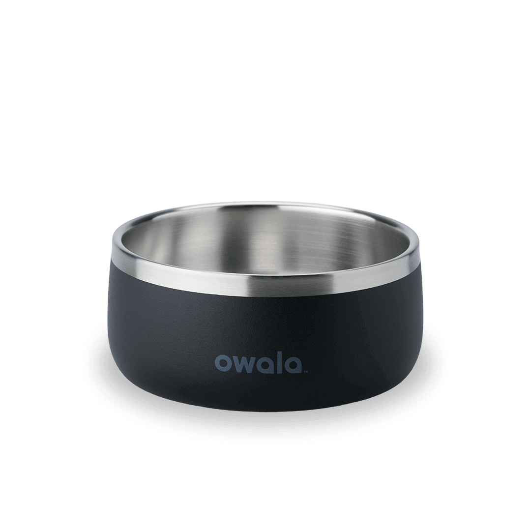 Pet  Bowl
