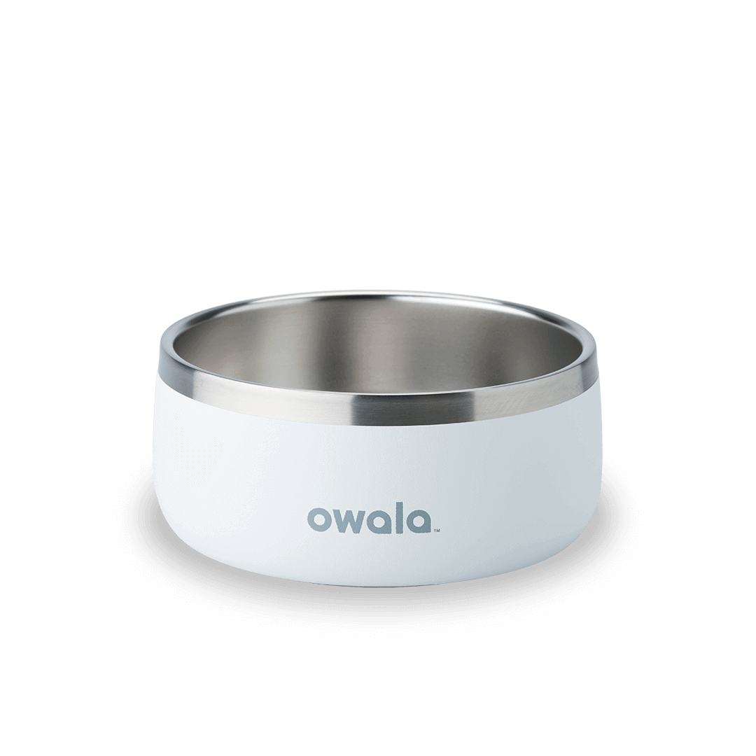 Pet  Bowl