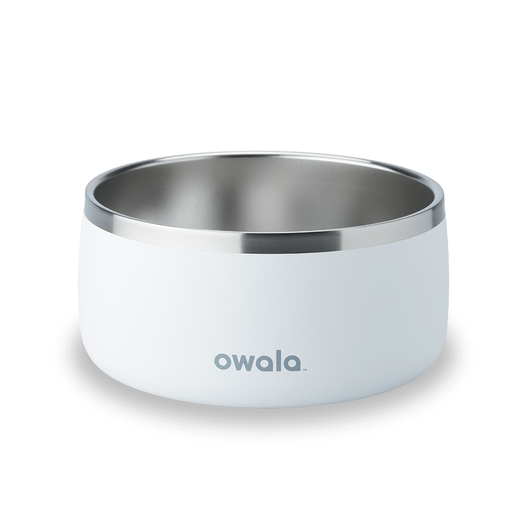 Pet  Bowl